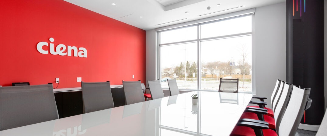 Ciena Software Developer Job