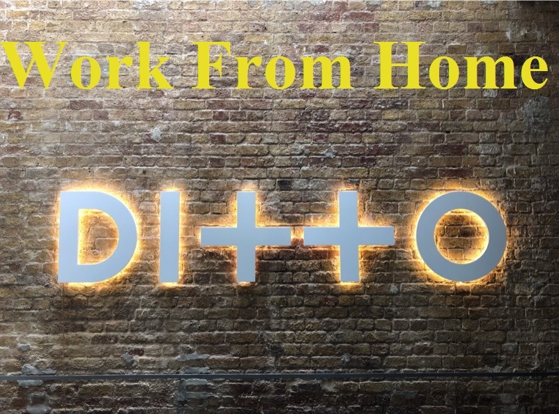  Work from Home with Ditto Customer Service